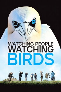 Watching People Watching Birds (2026)