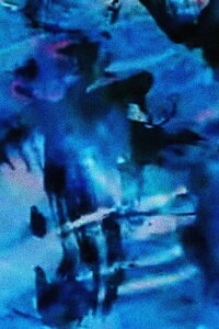 Water for Maya (2000)