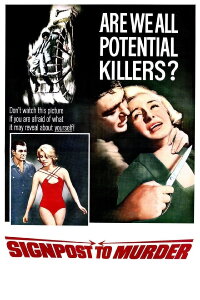 Wegweiser zum Mord (1964)
