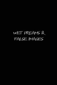 Wet Dreams and False Images (2004)