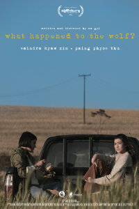 What Happened To the Wolf? (2025)