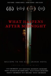 What Happens After Midnight (2024)