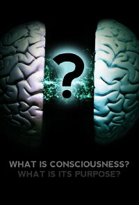 What Is Consciousness? What Is Its Purpose? (2017)