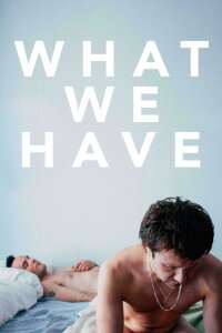 What We Have (2014)