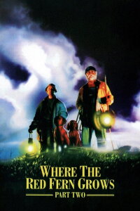 Where The Red Fern Grows II: The Classic Continues (1992)
