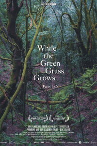 While the Green Grass Grows (2025)