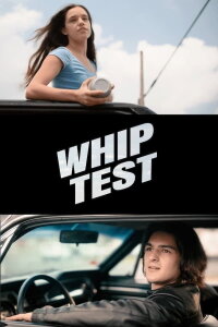 Whip Test (2024)