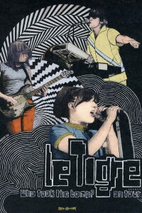 Who Took the Bomp? Le Tigre on Tour (2010)