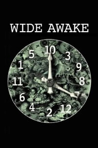 Wide Awake (2006)