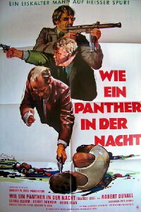 Wie ein Panther in der Nacht (1973)