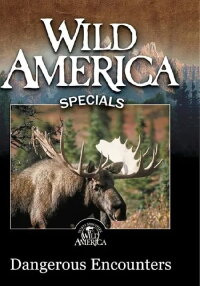 Wild America - Dangerous Encounters (2000)