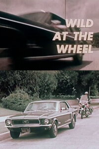 Wild at the Wheel (1973)