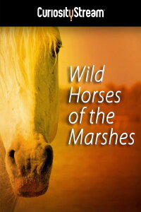 Wild Horses of the Marshes (2015)