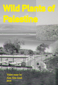 Wild Plants of Palestine (2018)