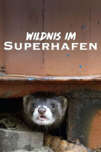 Wild Port of Europe (2022)