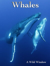 Wild Window: Whales (2015)