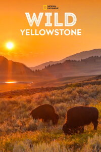 Wild Yellowstone: Fire And Ice (2018)