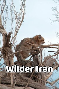 Wilder Iran (2019)