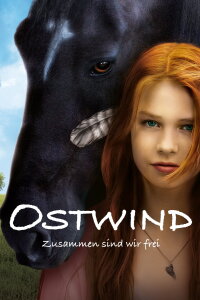 Windstorm (2013)