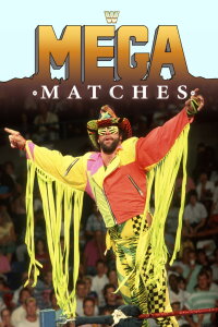 WWE Mega Matches (1991)