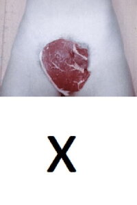 “X” (1973)
