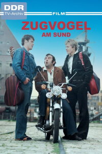 Zugvogel am Sund (1979)