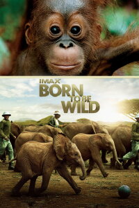 Zurück in die Wildnis (2011)