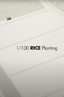 1/100 RICE Planting Trailer