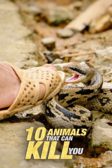 10 Animals That Will Kill You Trailer
