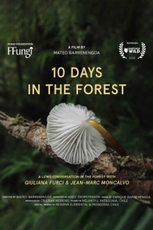 10 Days in the Forest Trailer