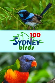 100 Sydney Birds Trailer