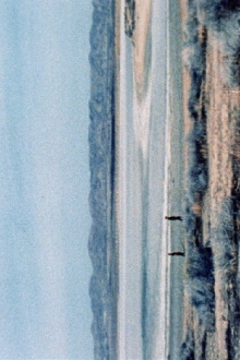(100ft) Trailer