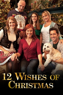12 Wishes of Christmas Trailer