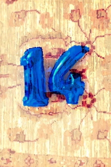 14 Trailer