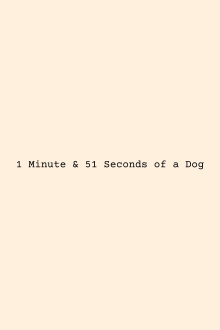 1:51 of a Dog Trailer