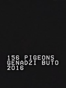 156 Pigeons Trailer