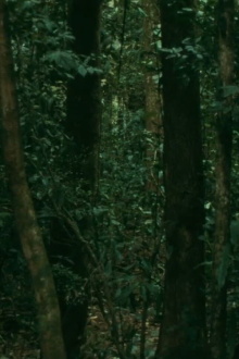 16mm Trailer