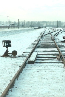 19 876 Steps in Auschwitz / Birkenau Trailer