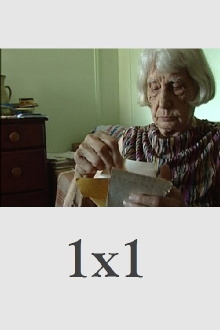 1x1 Trailer