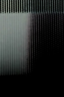 2 Trailer