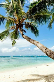 21 Sexiest Beaches Trailer