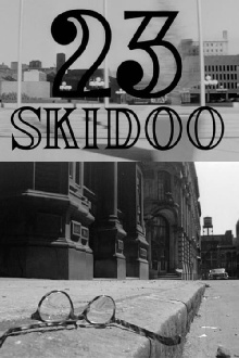 23 Skidoo Trailer