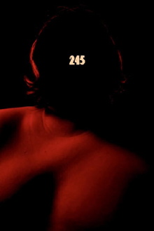 245 Trailer