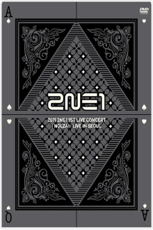 2NE1: 1st Live Concert NOLZA Trailer