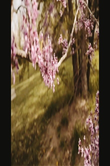 3/1 and 3/3 (Bountiful Gems) Trailer