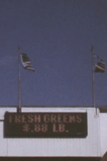 3 Flags Trailer