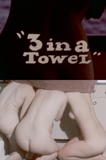 3 in a Towel Trailer