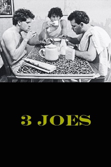 3 Joes Trailer
