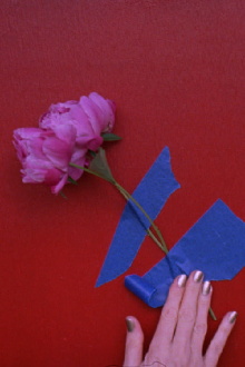 3 peonies Trailer