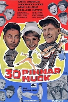 30 pinnar muck Trailer